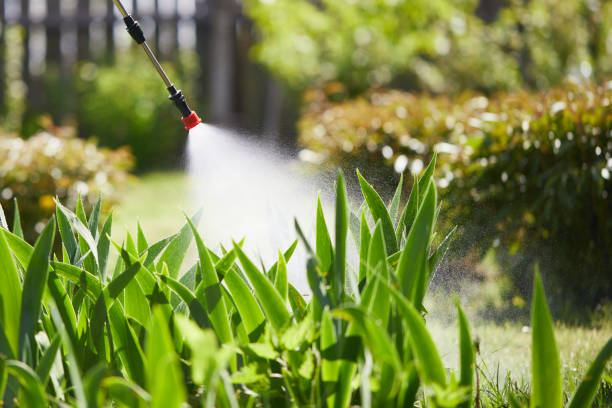24/7 Emergency Termite Control experts in Whitaker, PA